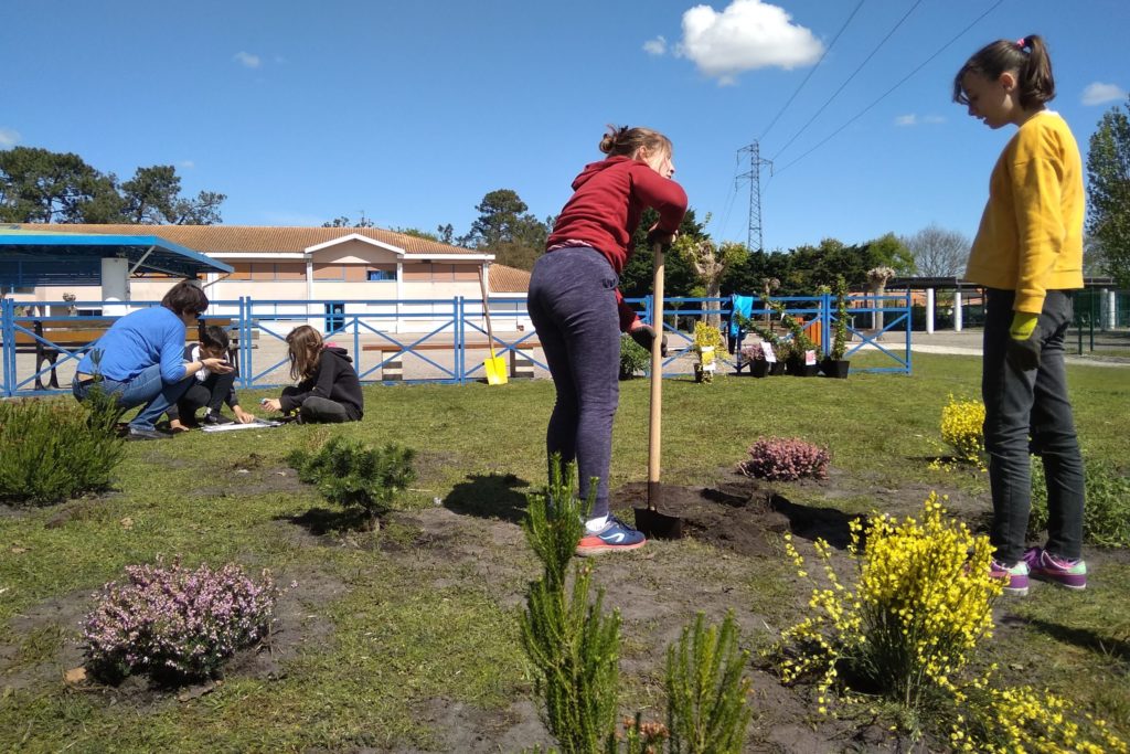 De la ville à la forêt, Ateliers Pédagogiques – Biganos